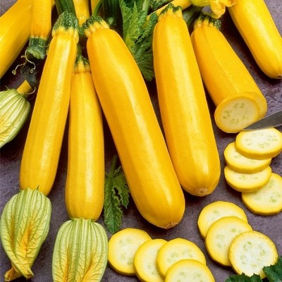 Насіння кабачка Голдстік F1 (45 дні) (500 сім.) Lark Seeds